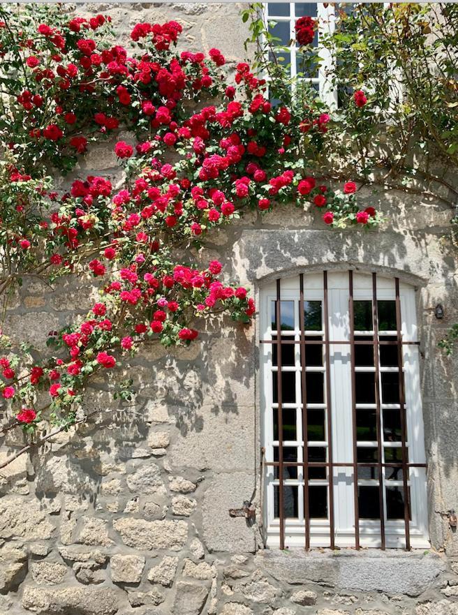 Chateau De La Borde A Ussel, Centre-Ville, Proche Autoroute A89 Ussel (Limousin) Exterior foto